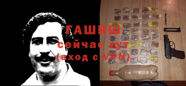 гидра Гусев