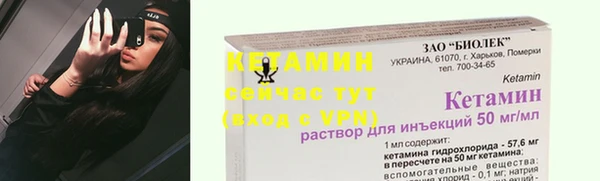 гидра Гусев