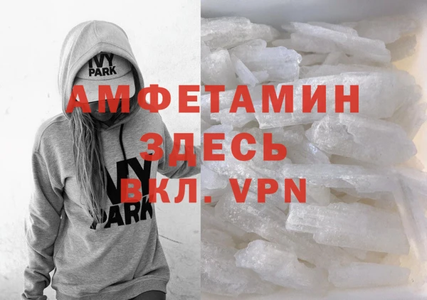 гидра Гусев