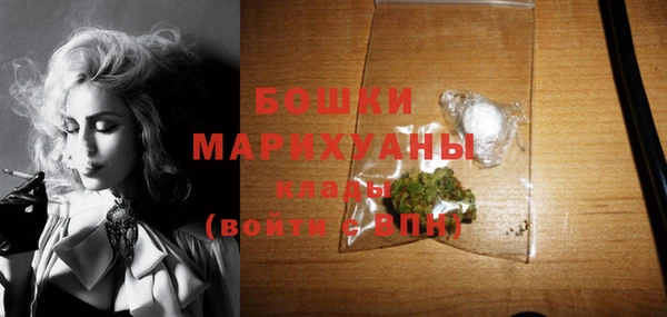 гидра Гусев