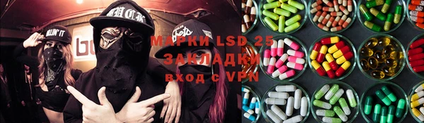 гидра Гусев