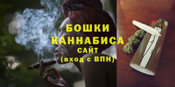 гидра Гусев